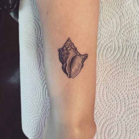 Micro realism Shell Tattoo by @danielcollinsart Conch Shell Tattoo, Shark Tooth Tattoo, Micro Realism, Shell Tattoo, Tooth Tattoo, Seashell Tattoos, Tattoos Pictures, Shell Tattoos, Fern Tattoo