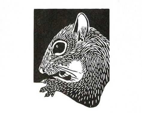 Linocut animals, squirrel, eekhoorn, hand printed wall art, matted, ready to frame, woodland animal print Linocut Animals, Woodcut Art, Linoleum Print, Hand Printing, Printed Wall Art, Woodland Animal Prints, Linocut Art, Desenho Tattoo, Art Et Illustration