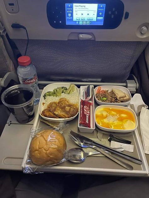 Emirates 777-300er, Emirates Economy, Dubai Flight, Airline Meal, Economy Flight, Dinner Photos, Emirates Flights, Eid Pics, 777 300er