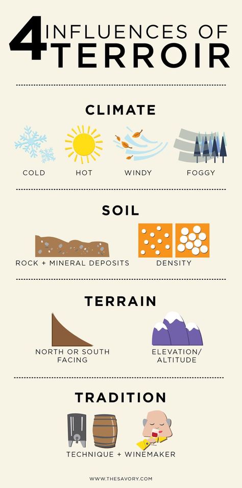 The terroir involves environmental factors that affect how wine grapes grow and is one of the most important factors in wine production. Knowing this concept will help you be more conscious of what regions your wine is coming from. Wine Infographic, Art Du Vin, Wine Course, Wine Facts, Wine Map, Wine Knowledge, Wine Vineyards, Wine Education, Wine Guide