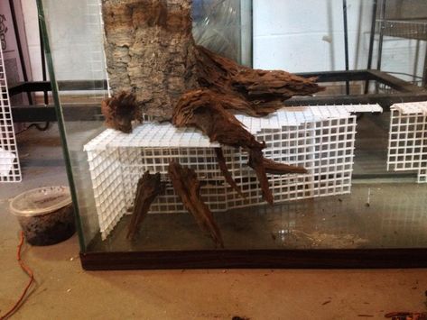 Click the image to open in full size. Waterfall Vivarium, Vivarium Waterfall, Pea Puffer, Terrarium Stand, Diy Reptile, Frog Terrarium, Snake Enclosure, Turtle Aquarium, Gecko Terrarium