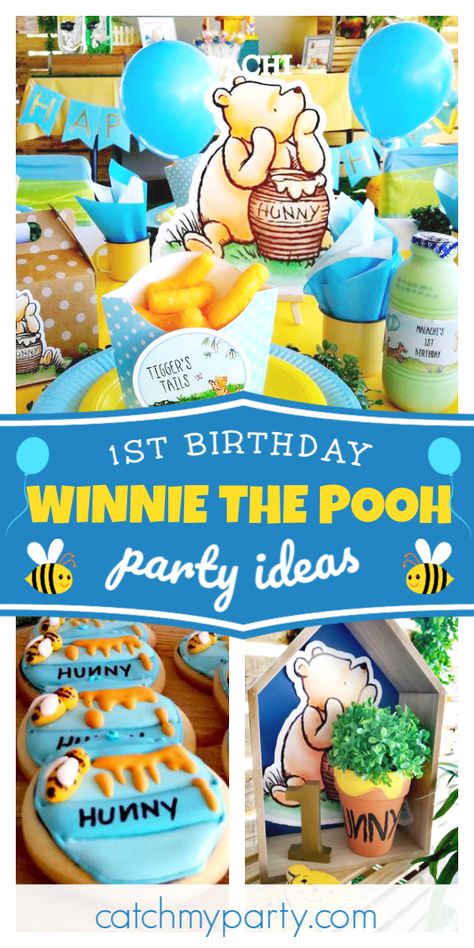 Pooh 1st Birthday Party, Winnie The Pooh 1st Birthday, Pooh First Birthday, Winnie The Pooh Party, Winnie The Pooh Cake, Pooh Party, Winnie The Pooh Themes, Winnie The Pooh Baby Shower, Pooh Birthday