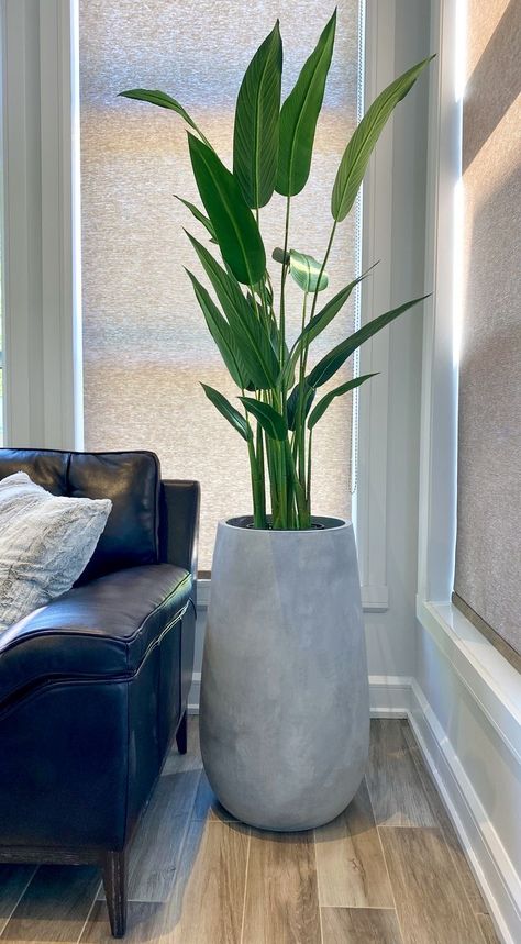 Contemporary Plants Indoor, Artificial Floor Plants Indoor, Heliconia In Pots, Tall Office Plants, Minimalist Plants Decor, Plants For Office Decorating Ideas, Artificial Potted Plants Indoor, Minimalist Living Room With Plants, Office Decor With Plants