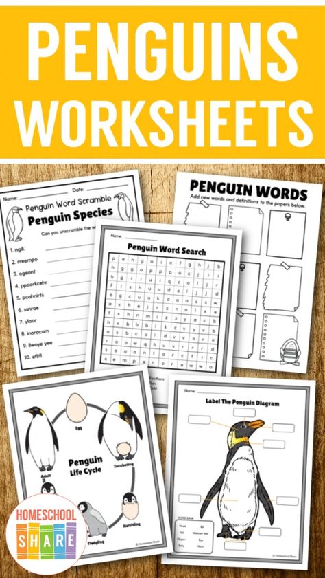 Penguin Worksheets (free printables!) - Homeschool Share Penguin Unit Study, Preschool Penguin, Penguin Worksheets, Penguin Preschool, Penguin Research, Penguin Life Cycle, Penguin Printable, Homeschool Science Lessons, Penguin Unit