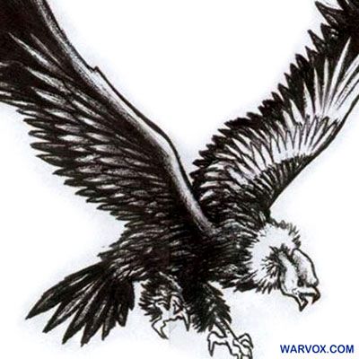 c004c_Giant_Condors_Flight_warvox Condor Tattoo, Aztec Tattoos, Inca Tattoo, Bad Tattoos, White Tattoo, Tattoo Designs, Tattoos, Design