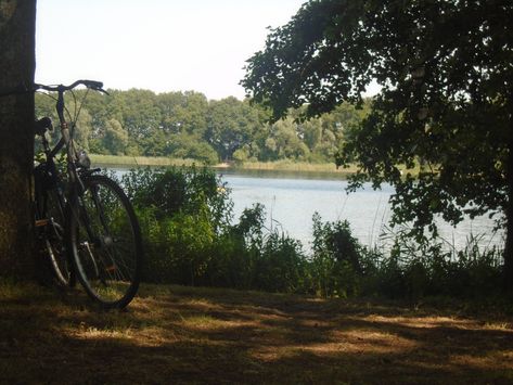 summer aesthetic, nature, lake, green Summer 1990 Aesthetic, Nostalgic Summer Aesthetic, Late Summer Aesthetic, 1990 Aesthetic, Summer Aesthetic Nature, Heavenly Bodies, Summer Lake, Summer Painting, Aesthetic Nature