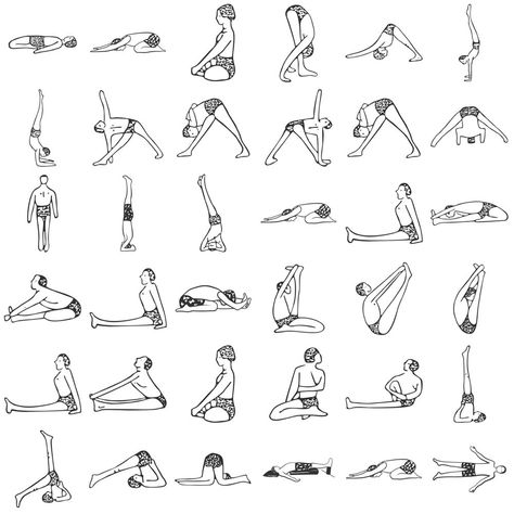 Forward Bends Yoga, Peacock Pose, Upper Back Muscles, Triangle Pose, Shoulder Stand, Forward Bend, Hip Raises, Mountain Pose, Corpse Pose