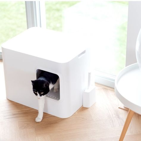 Modern Minimalist Cat Litter Hoopo Dome 10% OFF this weekend. 🐈💩 Dog Litter Box, Cat Furniture Design, Rabbit Litter, Large Cat Breeds, Rabbit Litter Box, Litter Robot, Cat Litter Tray, Litter Box Enclosure, Cat Litter Box Furniture