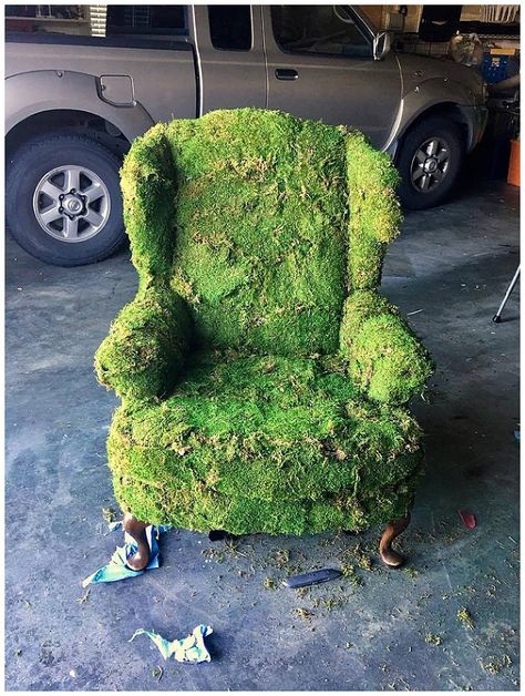 Moss Chair Diy, Moss Furniture, Woodland Fairy Bedroom, Moss Chair, Moss Ideas, Bug Photography, Newborn Photography Family, Forest Weddings, Botanical Interior