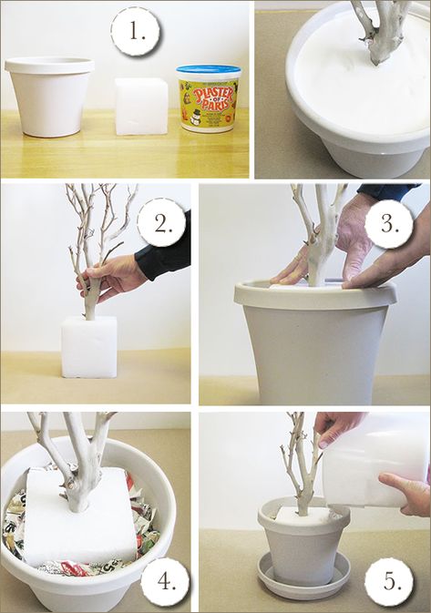 DIY: Manzanita Trees for Any Occasion « Californiastyleevents's Blog Wishing Tree Wedding, Tree Branch Centerpieces, Takken Decor, Branch Centerpieces, Manzanita Tree, Wishing Tree, Branch Decor, Wedding Order, Deco Floral