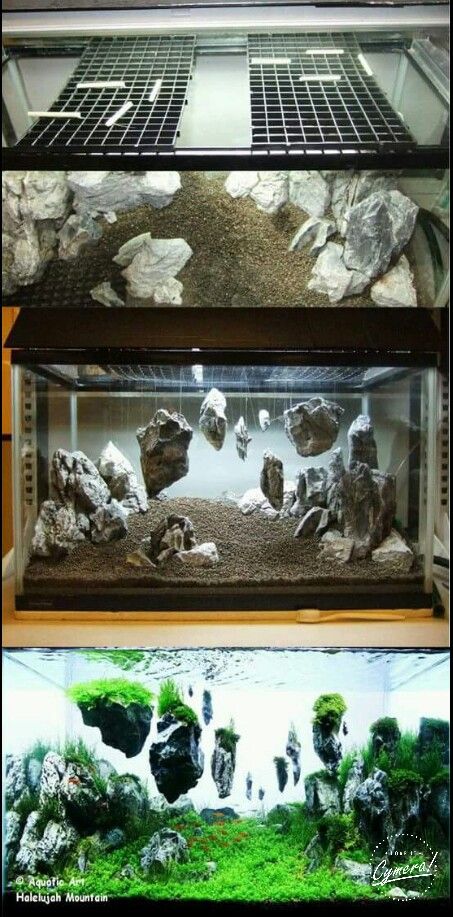 Floating Rock Aquarium, Avatar Themed Fish Tank, Fantasy Fish Tank Ideas, Lord Of The Rings Fish Tank, Fantasy Fish Tank, Plant Aquarium Ideas, Axolotl Tank Ideas, Fish Aquarium Ideas, Fish Tank Themes Ideas