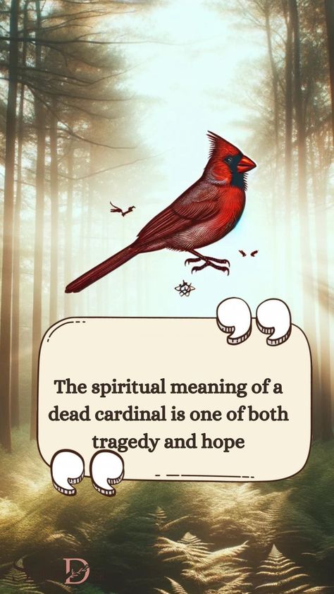 The spiritual meaning of a dead cardinal is one of both tragedy and hope. It is representative of the fragility of life but also a reminder to its observers to take good things in life and cherish them. #cherish #observers #reminder #life #fragility #representative Cardinal Meaning, Cardinal Symbolism, Good Things In Life, Spiritual Strength, Blood Of Christ, Spiritual Advisor, Signs From The Universe, Change Is Coming, Cardinal Bird