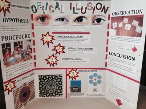 Optical Illusion - Science Project 2014 Optical Illusions Science Fair Projects, Optical Illusion Science Fair Project, 2nd Grade Science Fair Projects, Stem Fair Projects, Biology Science Fair Projects, Winning Science Fair Projects, Science Fair Projects Ideas, Trifold Board, Kids Science Projects