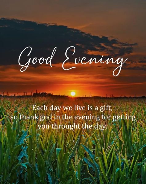 Goodevening Quotes Evenings, Goodevening Evenings, Good Evening Friends Images, Good Morning Love Pics, Good Evening Love, Evening Wishes, Good Evening Messages, New Good Night Images, Good Evening Wishes