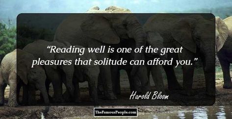 Reading well is one of the great pleasures that solitude can afford you. Second Fiddle Quotes, Wyatt Earp Quotes, William Faulkner Quotes, Love Casts Out Fear, Otto Von Bismarck, Romain Gary, Experience Quotes, Julia Cameron, Mark Twain Quotes