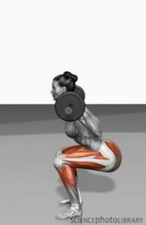 no wonder I hurt my leg muscles by doing a bunch of those on a weekly basis ;( #increasemuscle Proper Squat, Body Maintenance, Squat Form, Pinterest Friends, Barbell Squat, Squat Challenge, Muscle Anatomy, Squat Workout, Tight Hips