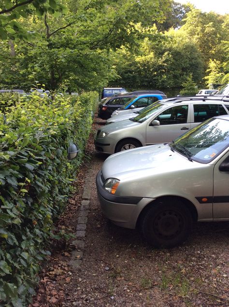 Car Parking Landscape Design, Parking Lot Landscape, Natural Parking Lot, Sustainable Parking Lot, Underground Car Park, Affordable Car, Car Parks, Landscape Elements, Green Park