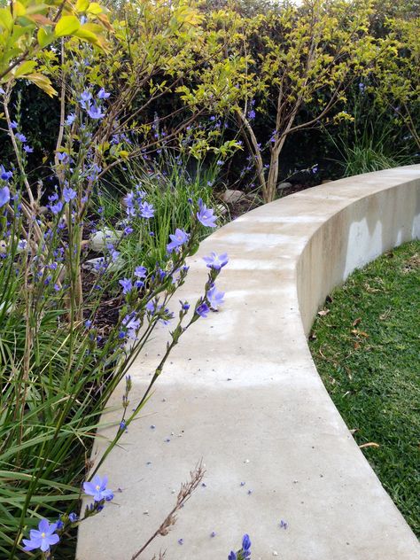 Curved Concrete Wall, Curved Concrete Bench, Curved Retaining Wall Ideas, Concrete Garden Edging, Steel Garden Edging, Curved Bench, Concrete Retaining Walls, Lake Garden, Gravel Patio