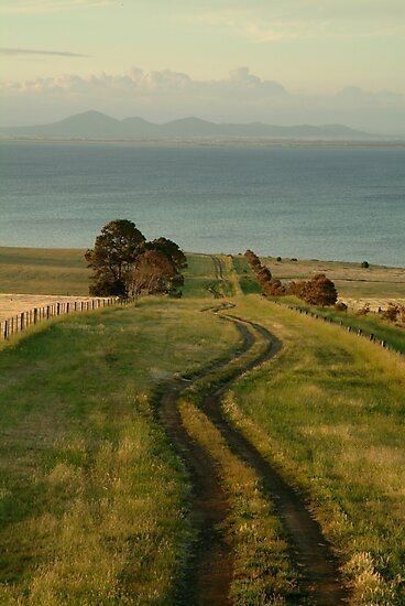 Dirt Road, Country Farm, Nature Aesthetic, Pretty Places, Landscape Photos, Farm Life, Oahu, Beautiful Landscapes, Mother Nature