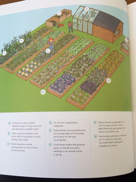 A kitchen garden for a family of 4 - from the book "Edible Landscaping" by Senga Lindsay - I LOVE this garden layout! It has everything you need for the perfect garden. JD Vegetable Garden Planner, Vegetable Garden Raised Beds, Garden Layout Vegetable, Garden Plots, Backyard Vegetable Gardens, Garden Planner, Raised Planter, Edible Landscaping, Garden Help