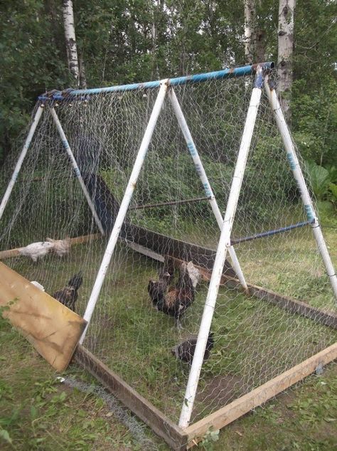 DIY Repurposed Swing Set Chicken Coop | The Owner-Builder Network Chicken Coop Diy, Mobile Chicken Coop, Owner Builder, Portable Chicken Coop, Chicken Waterer, Chicken Tractors, Chicken Coup, Chicken Coop Run, Chicken Tractor