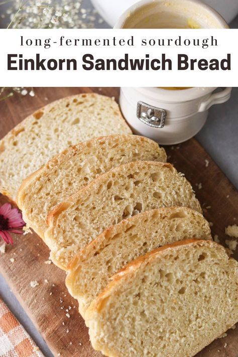 Einkorn Sourdough Sandwich Bread  - The Duvall Homestead Einkorn Sourdough Bread, Sourdough Sandwich Loaf, Sourdough Einkorn, Sourdough Sandwich Bread Recipe, Einkorn Sourdough, Pullman Loaf, Einkorn Bread, Fermented Bread, Sourdough Sandwich Bread