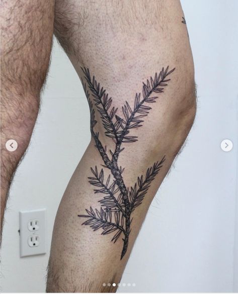 Plus Size Tattoos, Redwood Tattoo, Oregon Tattoo, Wrap Around Tattoo, Fern Tattoo, Branch Tattoo, Knee Tattoo, Sister Tattoos, Nature Tattoos