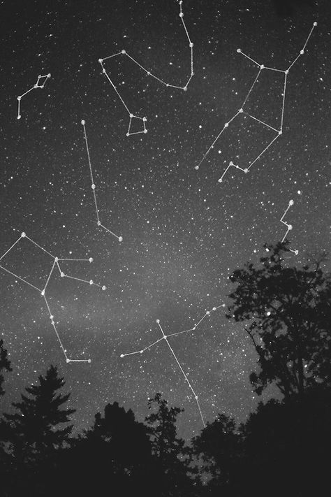 The Stars at a Glance | Yours Truly Stars And Constellations, Deep Books, Astronomy Constellations, Wallpaper Ceiling, Sky Full Of Stars, Star Constellations, Into The Wild, Look At The Stars, To Infinity And Beyond