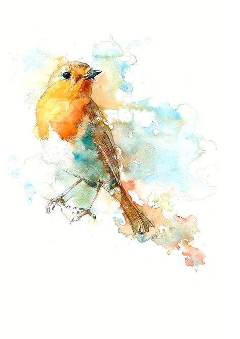 #WORLDWATERCOLOURGROUP Loose watercolour and pen of a Robin Loose Watercolor Animals, Loose Watercolor Birds, Watercolour Robin, Robin Painting, Loose Watercolour, Watercolour And Pen, Bird Painting Acrylic, Owl Watercolor, Watercolor Art Landscape