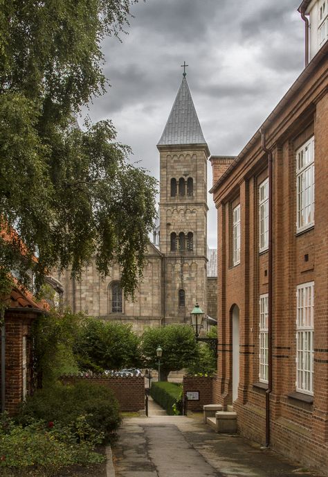 Viborg Domkirke (Viborg Cathedral), Denmark Viborg Denmark, Kingdom Of Denmark, East Of The Sun, Viborg, Southern Region, Odense, The Cathedral, Copenhagen Denmark, Aarhus