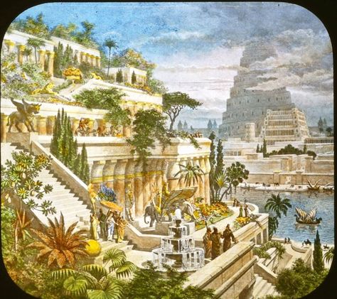 The Hanging Gardens of Babylon Babylon Art, Hanging Gardens Of Babylon, Ancient Babylon, Gardens Of Babylon, Hanging Gardens, Tower Of Babel, Ancient Mesopotamia, Fantasy City, Seven Wonders