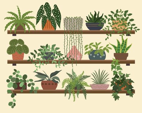 Wall Wood Panel Indoor Plants Shelves Illustration, Plants On Shelves, Plant Wall Art, Pen Pals, Wall Paintings, Plant Drawing, Room With Plants, Plant Shelves, Botanical Drawings