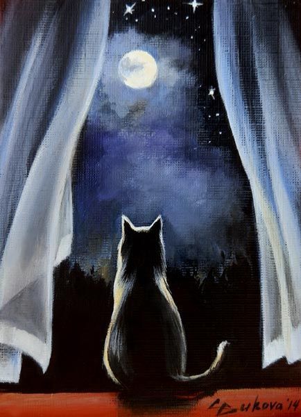 "Night watch" by G.Bukova: Caine Husky, Animated Witch, 그림 낙서, Black Cat Art, Lukisan Cat Air, Arte Animal, Black Cat Halloween, The Night Sky, Drawing Tutorials