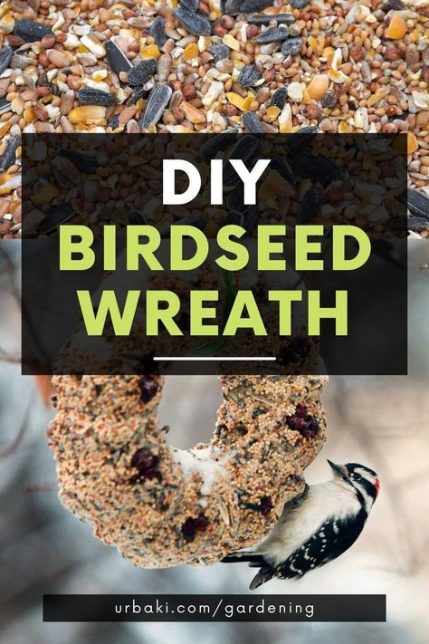 Birdseed Crafts, Birdseed Wreaths Recipe, Birdseed Wreath, How To Make Bird Seed Cakes, Diy Birdseed Wreath, Diy Bird Seed Wreath, How To Make Bird Seed Ornaments, Bird Seed Wreath Recipe, Bird Treats