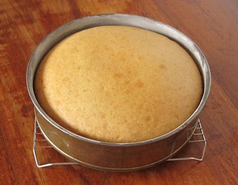 One Egg Cake Recipe Simple, 1 Egg Cake Recipe, 3 Egg Cake Recipe, Two Egg Cake Recipe, 2 Egg Cake Recipe, One Egg Cake Recipe, Egg Sponge Cake, One Egg Cake, Egg Cake Recipe