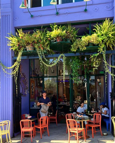 ...and speaking of “spiller” plants, how about this plantastic display at the wonderful @bloomandplumecoffee !!?!! Wouldn’t be amazing to… Spiller Plants, Coffee House Cafe, Ethiopian Restaurant, Soul Food Restaurant, Westlake Village, Cafe House, Pink Chair, Be Amazing, West Lake