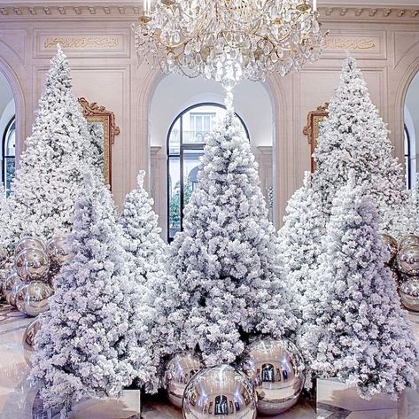 JEFF LEATHAM on Instagram: “Wishing Everyone A Very Merry Christmas 🤍💫🤍✨ I hope everyone felt love today in some way and even though it was a very different,…” Snow Flocked Christmas Tree, George V Paris, Joy Decorations, Jeff Leatham, Flocked Christmas Tree, Winter Wonderland Christmas, Flocked Christmas Trees, Christmas Style, Beautiful Christmas Trees