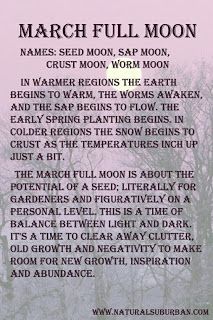 Apple River Tarot Readings - It's Not The Destination, It's The Journey: The Worm Moon and Hecate March Full Moon, Worm Moon, Full Moon Names, Moon Meaning, Moon Names, Moon Magick, You Are My Moon, Moon Rituals, Spring Equinox