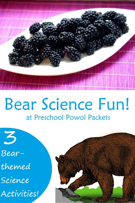 Bear science and a bear snack! Perfect for a preschool bear theme, hibernation unit, teddy bear day, or just for fun! Bear Theme Activities, Polar Bear Science, Hibernation Preschool Crafts, Bear Theme Preschool, Hibernation Crafts, Hibernation Preschool, Hibernation Activities, Science Kindergarten, Stem Preschool