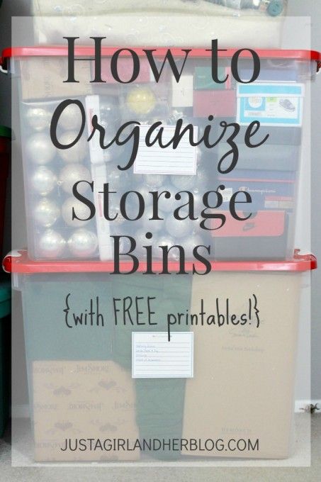 Clever Organization, Basement Organization, Clever Organizer, Organization Station, Organized Storage, Household Organization, Home Organisation, Organize Declutter, Organization Tips