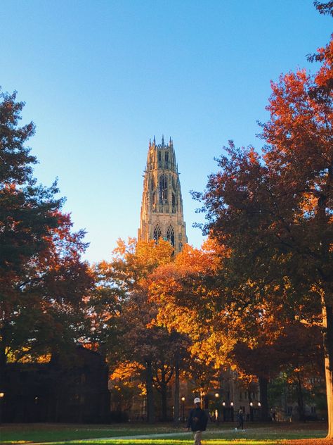 Yale University Law School, Fall Campus Aesthetic, Yale Campus Aesthetic, Fall On Campus, University Fall Aesthetic, Yale University Aesthetic Campus, Yale Aesthetic University, Fall College Aesthetic, Yale University Aesthetic