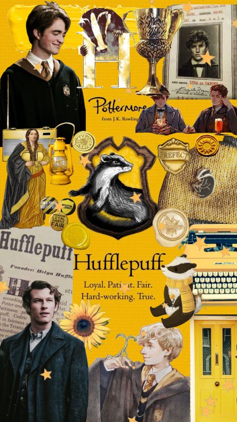 Hufflepuff Pride 🦡💛✨ Hufflepuff Wallpaper, Hufflepuff Aesthetic, Hufflepuff Pride, Hufflepuff House, Harry Potter Hufflepuff, Harry Potter Houses, Hogwarts, Harry Potter, Wallpapers