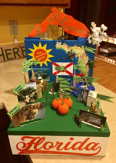 State Float Project - Florida; The Sunshine State State Float Project, State Report Projects, State History Projects, The Florida Project, Florida Project, Social Studies Projects, Mission Projects, 4th Grade Social Studies, Social Innovation