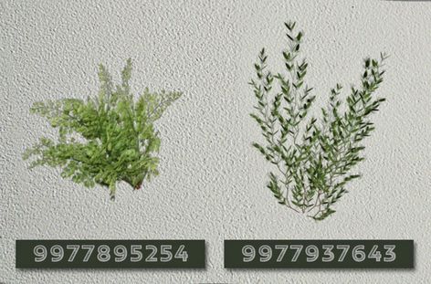 Bloxburg Bushes Decals Codes, Plant Decals Bloxburg Outdoor, Bush Codes Bloxburg, Grass Decal Bloxburg, Bloxburg Indoor Plant Decals, Bloxburg Brick Decal Codes, Bush Decals Bloxburg, Bloxburg Bushes Decals, Bloxburg Fence Decal