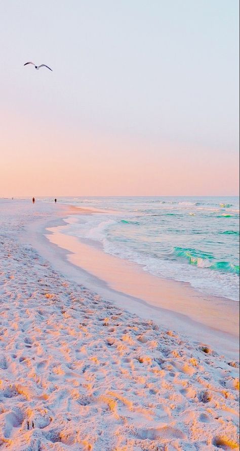 Aesthetic Wallpapers Beach, Preppy Beach Wallpaper Ipad, Cute Wallpapers Beach, Beachy Aesthetic Wallpaper, Preppy Beach Wallpaper, Cute Beach Wallpapers, Summer Season Aesthetic, Summer Wallpaper Beach, Aesthetic Wallpaper Beach