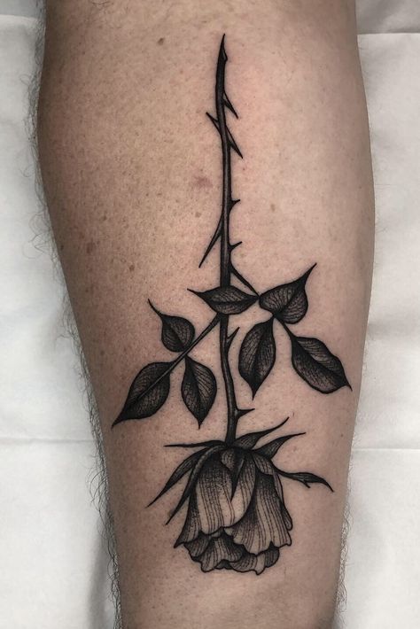 Stemmed Rose Tattoo, Grunge Rose Tattoo, Blackwork Rose Tattoo, Dark Rose Tattoo, Oak Tattoo, Black Work Tattoo, Dark Roses Tattoo, Black Rose Tattoo, Single Rose Tattoos