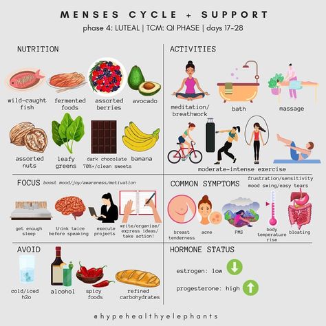 Melissa Hsu | The Healthy Elephants® | . The hot 🔥 & sexy topic: Menses Cycle Support 🩸 This ideology largely incorporates TCM methodology. Day 1 is heavy 🩸 🌕Phase… | Instagram Hormone Nutrition, Menstruation Cycle, Luteal Phase, Clean Sweets, Nutrition Activities, Menstrual Health, Women Health Care, Feminine Health, Home Health Remedies