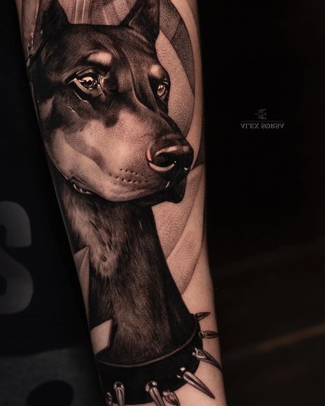 Doberman Dogs Black, Doberman Tattoo, European Doberman, Dog Doberman, Black Doberman, Doberman Pinscher Puppy, Dogs Black, Doberman Love, Doberman Pinscher Dog