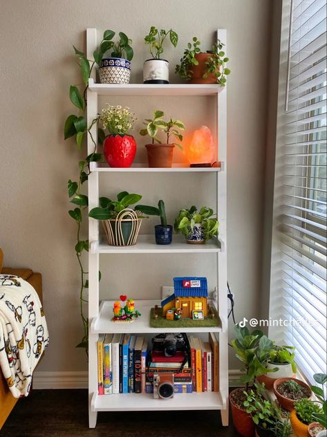 Bookshelf Ideas Bedroom Small Spaces, Shelf Styling Bedroom Aesthetic, Dorm Bookshelf Decor, Room Decor Bedroom Shelves, Ladder Shelf Decor Bedroom Aesthetic, Cute Small Bookshelf, Book Shelf Decor Bedroom Aesthetic, Ladder Shelf Decor Bedroom, Shelving For Closets