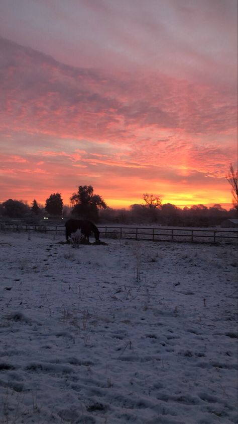 Snow horse winter vibes winter autumn hose equestrian teen country sunset cute Country Winter Wallpaper, Winter Country Aesthetic, Snow Horse, Country Sunset, Country Winter, Country Backgrounds, Winter Paper, Iphone Wallpaper Winter, Horse Aesthetic